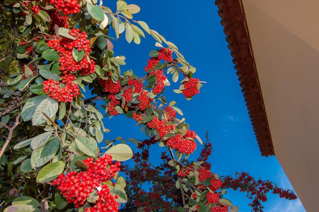 Tu Casa En Barcelona Villa Sant Cugat del Vallès Værelse billede